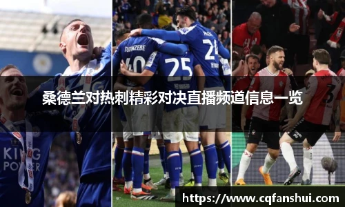 桑德兰对热刺精彩对决直播频道信息一览
